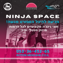 ninja_space