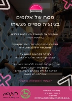 מחנה נינג'ה
