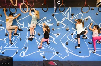 נינג'ה בפסח